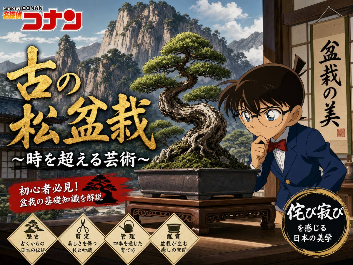 捷克街头盆栽视频